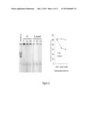 P53 COOPERATION WITH DNA METHYLATION AND SUICIDAL INTERFERON RESPONSE TO     CONTROL SILENCING OF REPEATS AND NCRNAS diagram and image