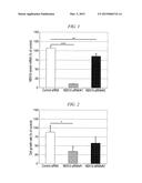 METHOD FOR INHIBITING CELL GROWTH, NUCLEIC ACID MOLECULE HAVING RNA     INTERFERENCE EFFECT ON NEK10 VARIANT GENE, AND ANTICANCER AGENT diagram and image