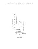 BIOMARKERS FOR PROGNOSES OF PULMONARY DISEASES diagram and image