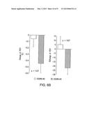 BIOMARKERS FOR PROGNOSES OF PULMONARY DISEASES diagram and image