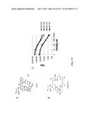 OPLOPHORUS-DERIVED LUCIFERASES, NOVEL COELENTERAZINE SUBSTRATES, AND     METHODS OF USE diagram and image