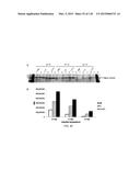 OPLOPHORUS-DERIVED LUCIFERASES, NOVEL COELENTERAZINE SUBSTRATES, AND     METHODS OF USE diagram and image