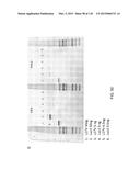 OPLOPHORUS-DERIVED LUCIFERASES, NOVEL COELENTERAZINE SUBSTRATES, AND     METHODS OF USE diagram and image