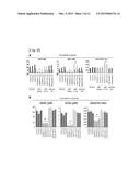 METHOD FOR SCREENING THERAPEUTIC AND/OR PROPHYLACTIC AGENTS FOR     ALZHEIMER S DISEASE diagram and image