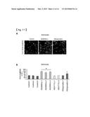 METHOD FOR SCREENING THERAPEUTIC AND/OR PROPHYLACTIC AGENTS FOR     ALZHEIMER S DISEASE diagram and image