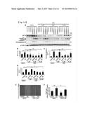 METHOD FOR SCREENING THERAPEUTIC AND/OR PROPHYLACTIC AGENTS FOR     ALZHEIMER S DISEASE diagram and image