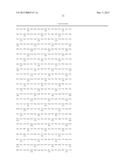 MODIFIED EPSTEIN-BARR VIRUS DNA POLYMERASE AND METHODS FOR ISOTHERMAL DNA     AMPLIFICATION diagram and image