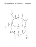 NOVEL CAR ENZYMES AND IMPROVED PRODUCTION OF FATTY ALCOHOLS diagram and image