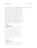 Methods For Culturing Undifferentiated Cells Using Sustained Release     Compositions diagram and image