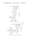 EXCITATION-DEPENDENT FLUORESCENT ORGANIC NANOPARTICLES diagram and image