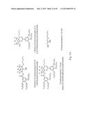 EXCITATION-DEPENDENT FLUORESCENT ORGANIC NANOPARTICLES diagram and image