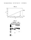 METHOD FOR PRODUCING REAGENT FOR ANTIBODY DETECTION AND USE THEREOF diagram and image