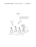 NUCLEIC ACID SEQUENCE MEASURING METHOD, NUCLEIC ACID SEQUENCE MEASURING     DEVICE, MANUFACTURING METHOD FOR NUCLEIC ACID SEQUENCE MEASURING DEVICE,     AND NUCLEIC ACID SEQUENCE MEASURING APPARATUS diagram and image