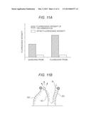 NUCLEIC ACID SEQUENCE MEASURING METHOD, NUCLEIC ACID SEQUENCE MEASURING     DEVICE, MANUFACTURING METHOD FOR NUCLEIC ACID SEQUENCE MEASURING DEVICE,     AND NUCLEIC ACID SEQUENCE MEASURING APPARATUS diagram and image