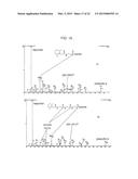 MASS LABELS diagram and image