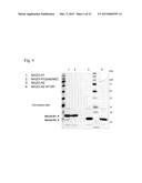 COMPOSITIONS AND METHODS FOR ANALYZING HISTIDINE PHOSPHORYLATION diagram and image