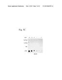 COMPOSITIONS AND METHODS FOR ANALYZING HISTIDINE PHOSPHORYLATION diagram and image