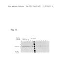 COMPOSITIONS AND METHODS FOR ANALYZING HISTIDINE PHOSPHORYLATION diagram and image