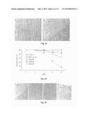 NEUREGULIN BASED METHODS AND COMPOSITIONS FOR TREATING CARDIOVASCULAR     DISEASES diagram and image