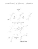 VITAMIN D-GHRELIN CONJUGATES diagram and image