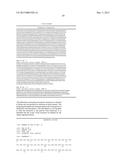 VITAMIN D-GHRELIN CONJUGATES diagram and image