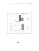 METHOD FOR ARTICULAR CARTILAGE AND JOINT FORMATION diagram and image