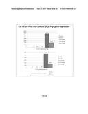 METHOD FOR ARTICULAR CARTILAGE AND JOINT FORMATION diagram and image