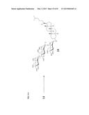 SULFATED OLIGOSACCHARIDE DERIVATIVES diagram and image