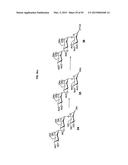 SULFATED OLIGOSACCHARIDE DERIVATIVES diagram and image