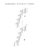 SULFATED OLIGOSACCHARIDE DERIVATIVES diagram and image