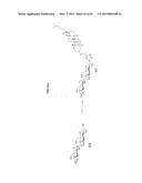 SULFATED OLIGOSACCHARIDE DERIVATIVES diagram and image