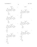 Viral Polymerase Inhibitors diagram and image