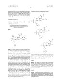 Viral Polymerase Inhibitors diagram and image