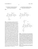 Viral Polymerase Inhibitors diagram and image