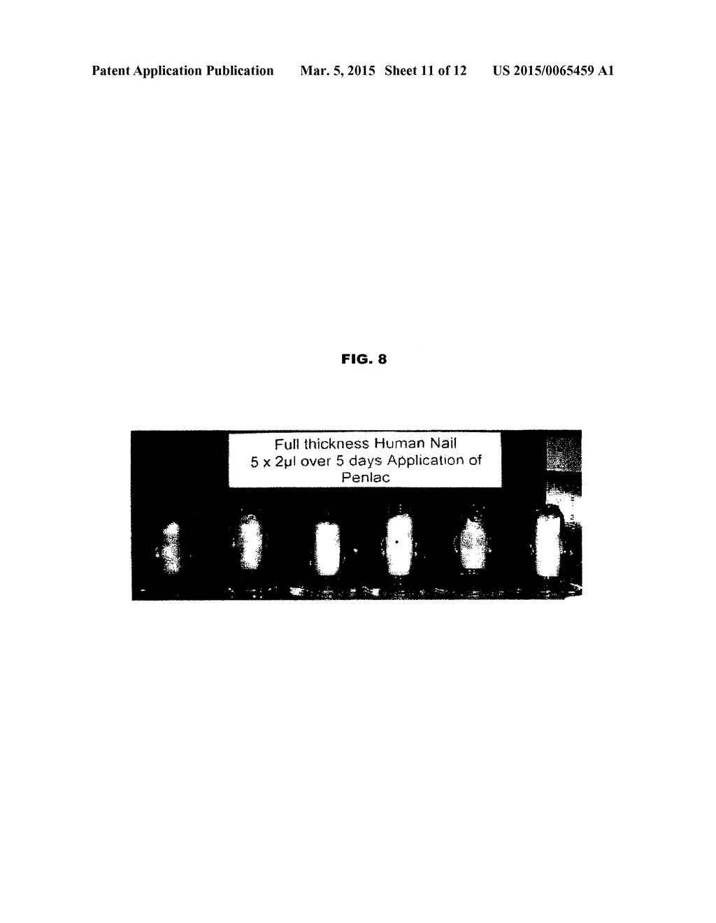 BORON-CONTAINING SMALL MOLECULES - diagram, schematic, and image 12