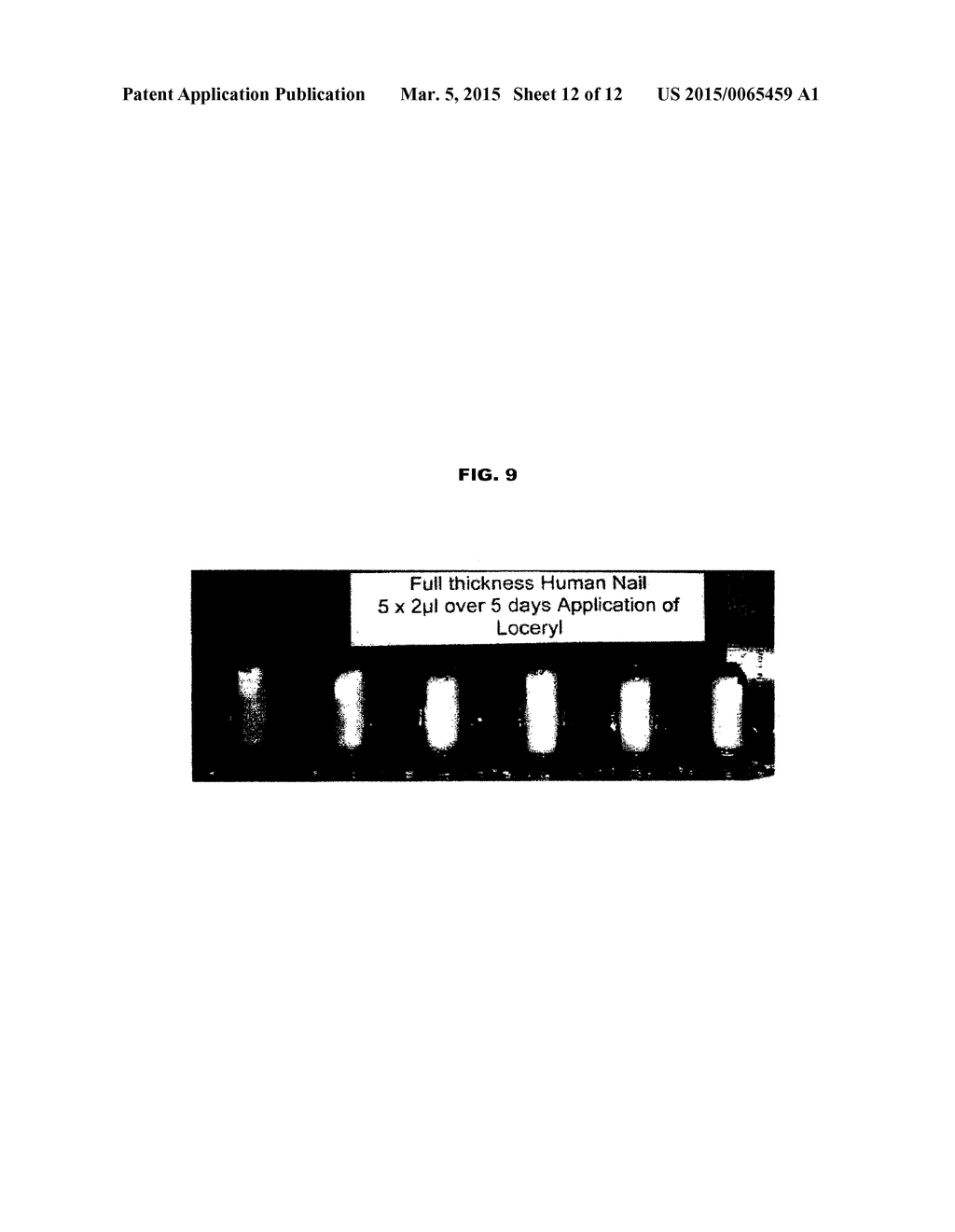 BORON-CONTAINING SMALL MOLECULES - diagram, schematic, and image 13