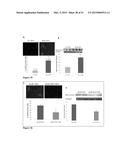 Methods And Compositions To Reduce Oxidative Stress diagram and image