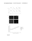 Methods And Compositions To Reduce Oxidative Stress diagram and image