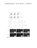 Methods And Compositions To Reduce Oxidative Stress diagram and image