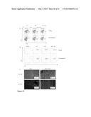 Methods And Compositions To Reduce Oxidative Stress diagram and image