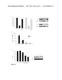 Methods And Compositions To Reduce Oxidative Stress diagram and image