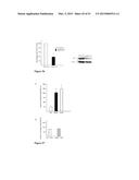 Methods And Compositions To Reduce Oxidative Stress diagram and image