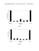 METHODS FOR CONTROLLING PESTS USING RNAi diagram and image