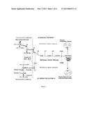 TREATMENT OF AGE-RELATED MACULAR DEGENERATION diagram and image