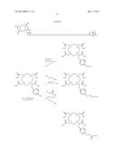 Discrete PEG Constructs diagram and image