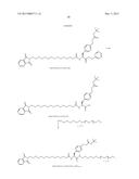 Discrete PEG Constructs diagram and image