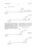 Discrete PEG Constructs diagram and image