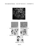 TUNABLE RARE-EARTH FCU-METAL-ORGANIC FRAMEWORKS diagram and image