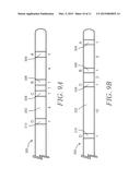 IMPEDANCE DEVICES FOR OBTAINING CONDUCTANCE MEASUREMENTS WITHIN LUMINAL     ORGANS diagram and image