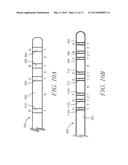 IMPEDANCE DEVICES FOR OBTAINING CONDUCTANCE MEASUREMENTS WITHIN LUMINAL     ORGANS diagram and image